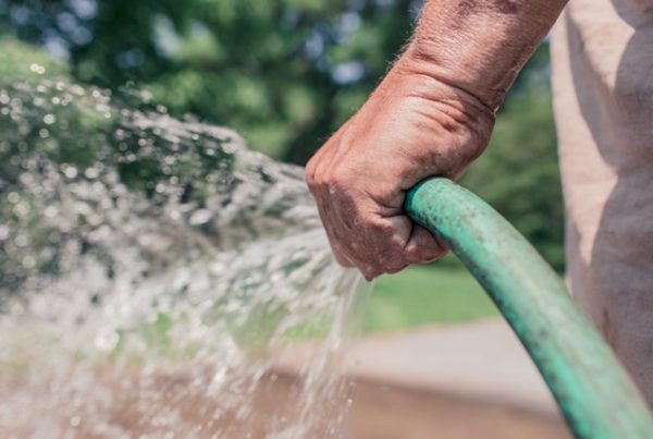 Soft Wash vs Pressure Wash