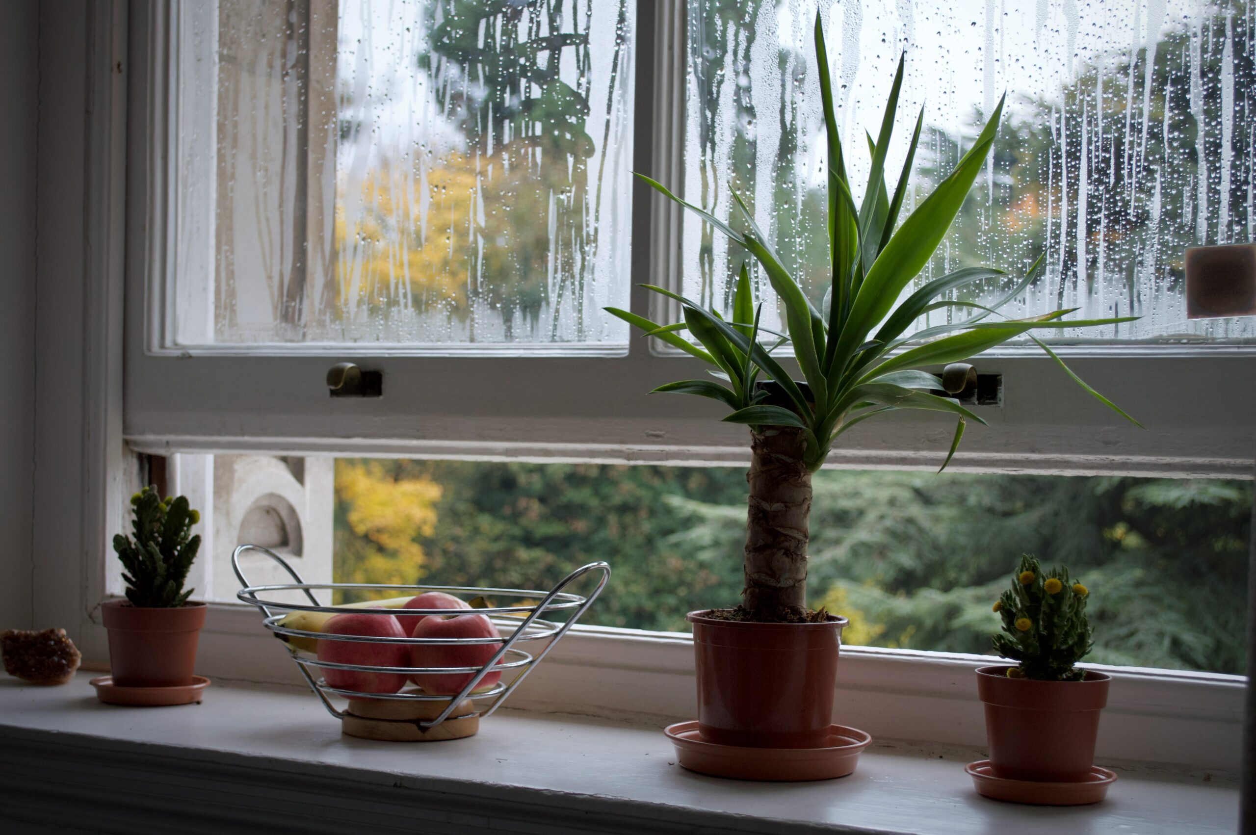How to Stop Condensation On Windows In Winter