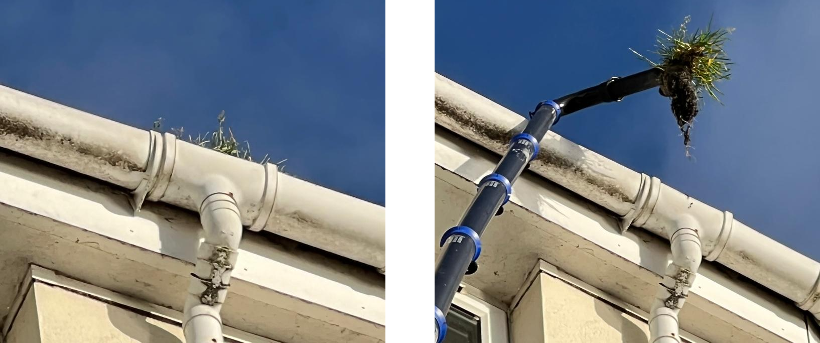 beforeandaftergutters Cardiff Window Cleaner Ltd