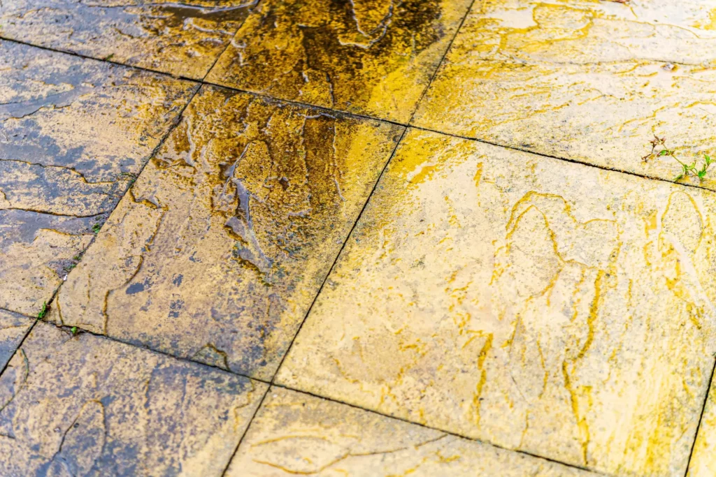 soft washing patios in cardiff - cleaning of tiles