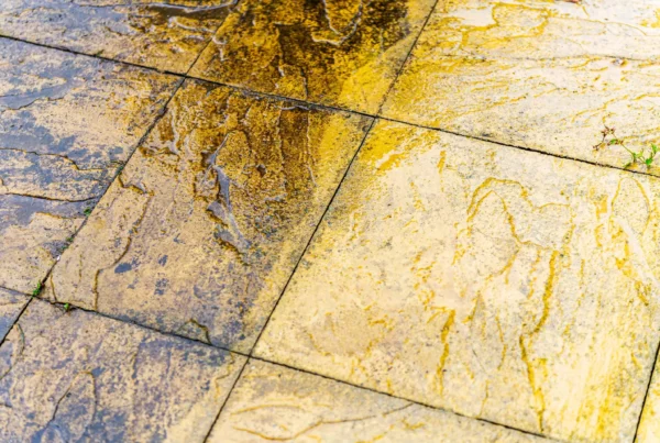 soft washing patios in cardiff - cleaning of tiles