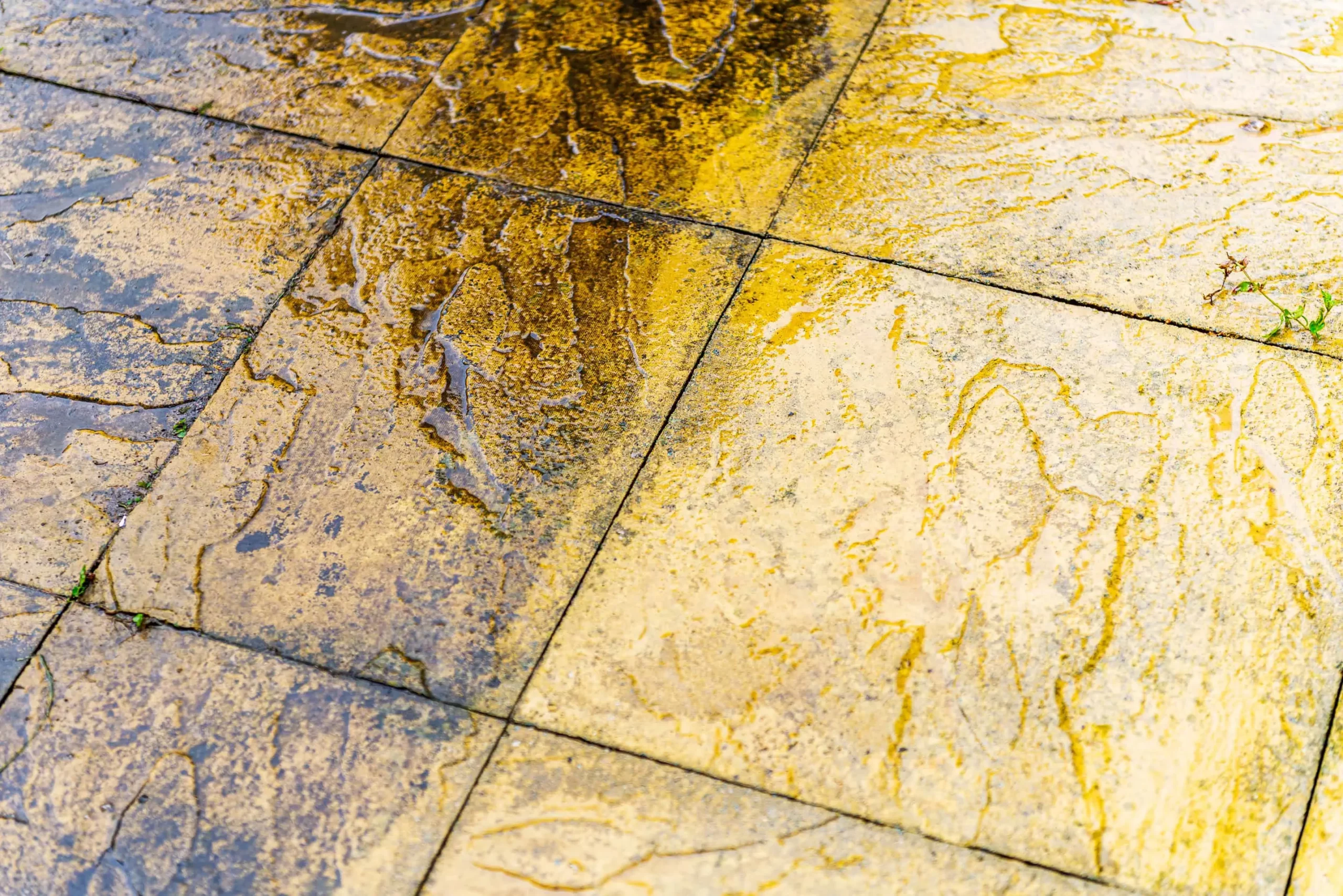 Case Study: Soft Washing Patios, Cardiff