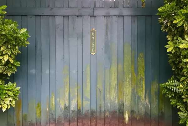 How to Clean Green off a Fence​