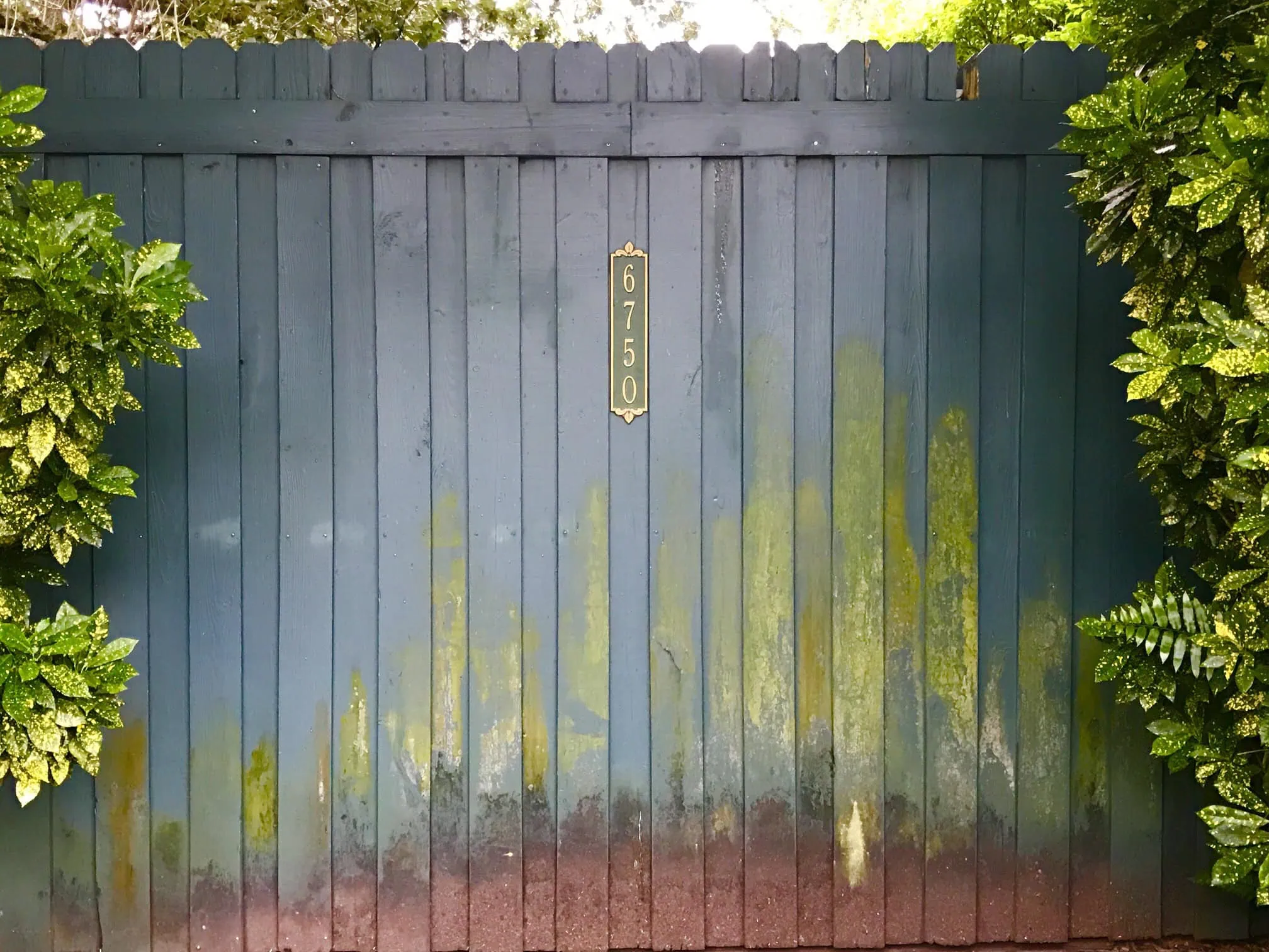 How to Clean Green off a Fence