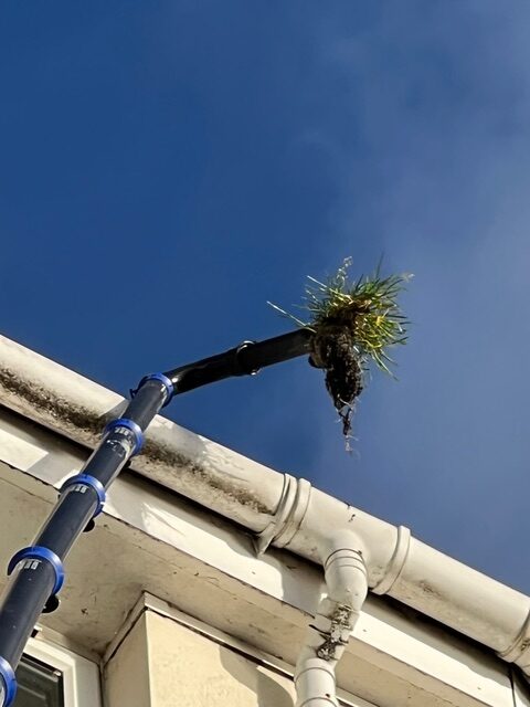 gutter cleaning case study - before/after