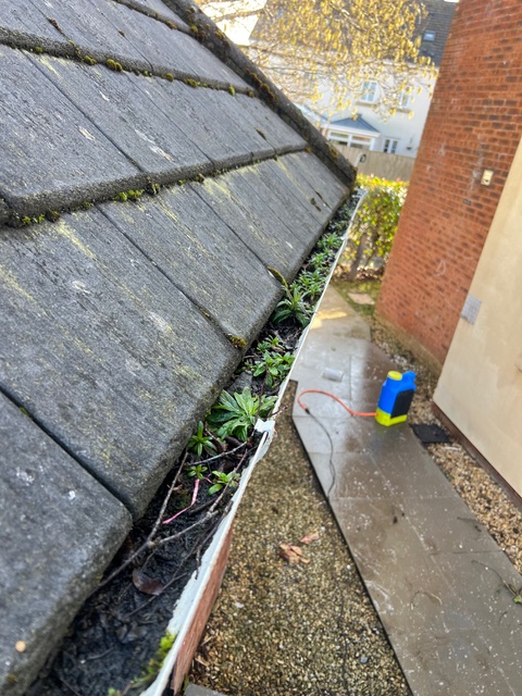 gutter cleaning case study - before/after