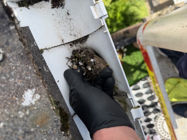 gutter cleaning case study - before/after