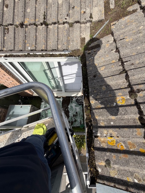 gutter cleaning case study - before/after