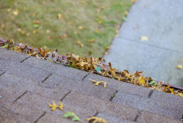 dirty roof with gutter with leaves requiring clean