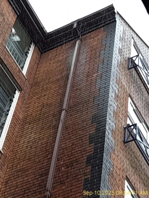 gutter cleaning case study