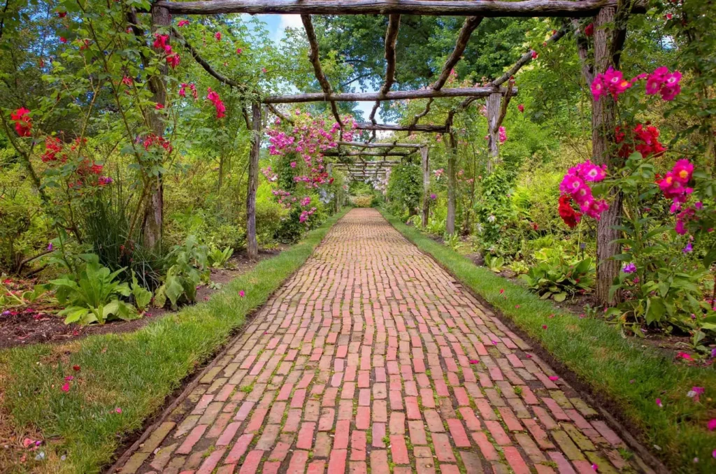 How to Clean a Pathway​