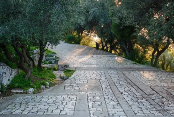 How to Clean a Pathway​