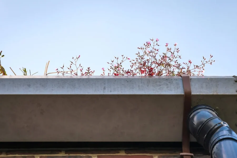 how much does gutter cleaning cost - gutter with plants