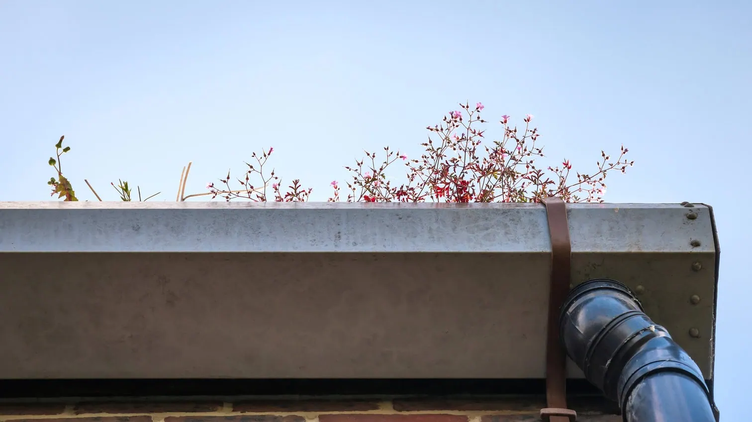 How Much Does Gutter Cleaning Cost​?