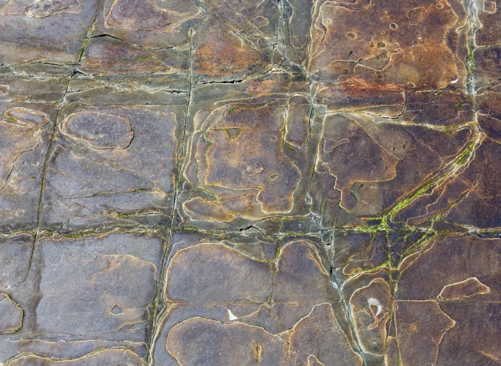 How to Clean a Driveway Oil Stain